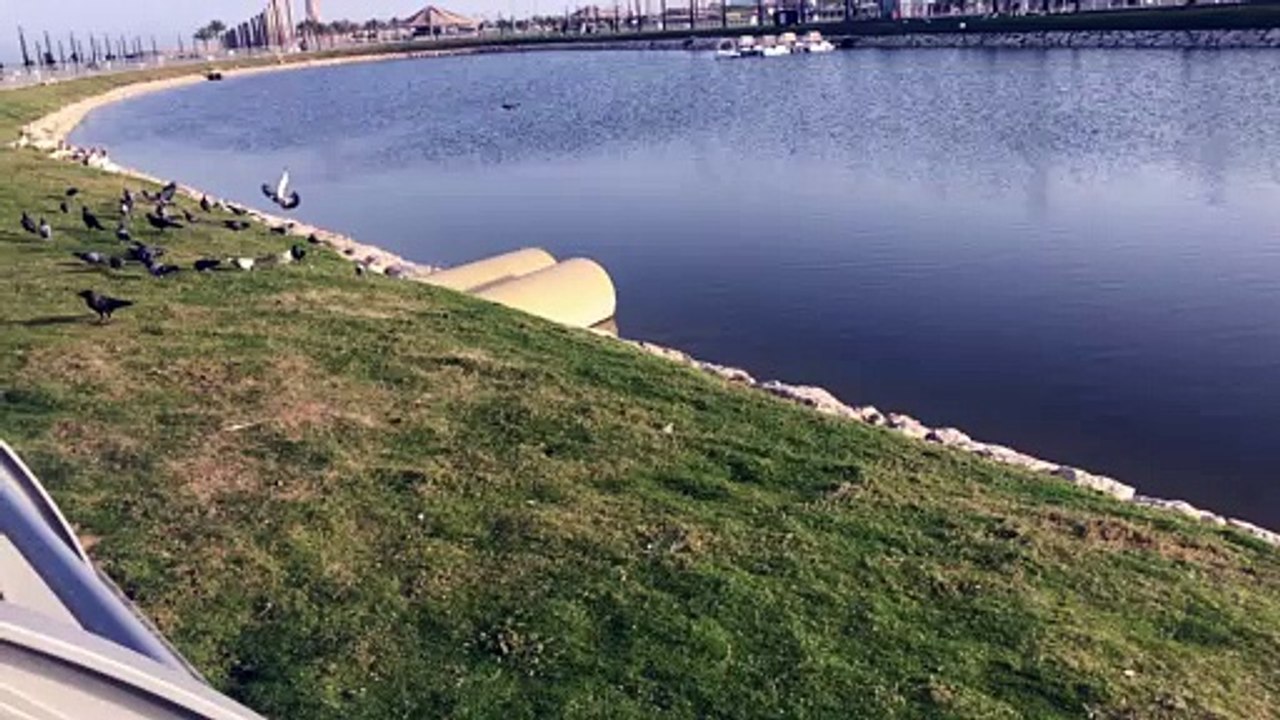 الخبر