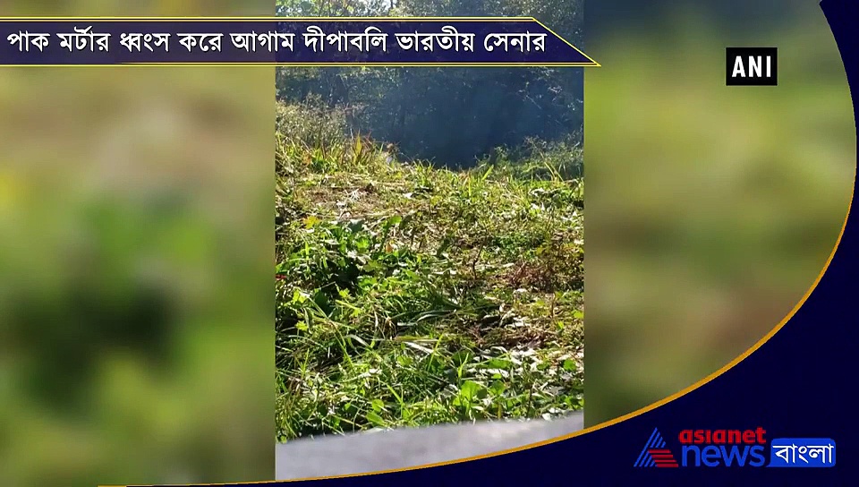 গোলা  ছুড়েছিল পাকিস্তান, আগাম দীপাবলি পালন ভারতীয় সেনার