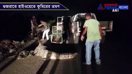 Forest Department rescues crocodile in Gujarat's Vadodara