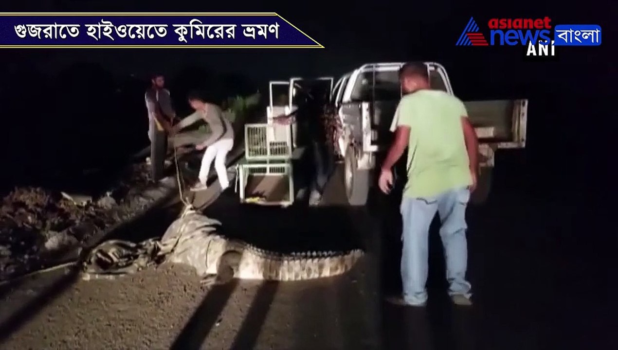 Forest Department rescues crocodile in Gujarat's Vadodara