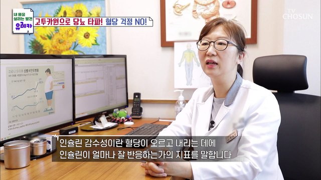 혈당 관리&체지방 감소에도 도움이 되는 『고투카원』 TV CHOSUN 20220515 방송