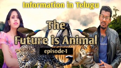 The Future is Animal || Tiger || Leopard || Penguin || Marine Iguana || Giant tortoise | #nature