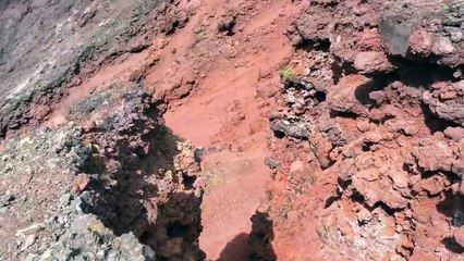 Relaxing summer music & relaxing summer music