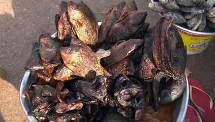 Local Fish market in the green valleys of the Volta River