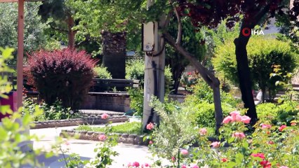 Tarihi caminin bahçesinde korkunç cinayet