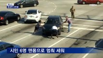 [픽뉴스] 용감한 시민들·푸틴 건강 이상설·