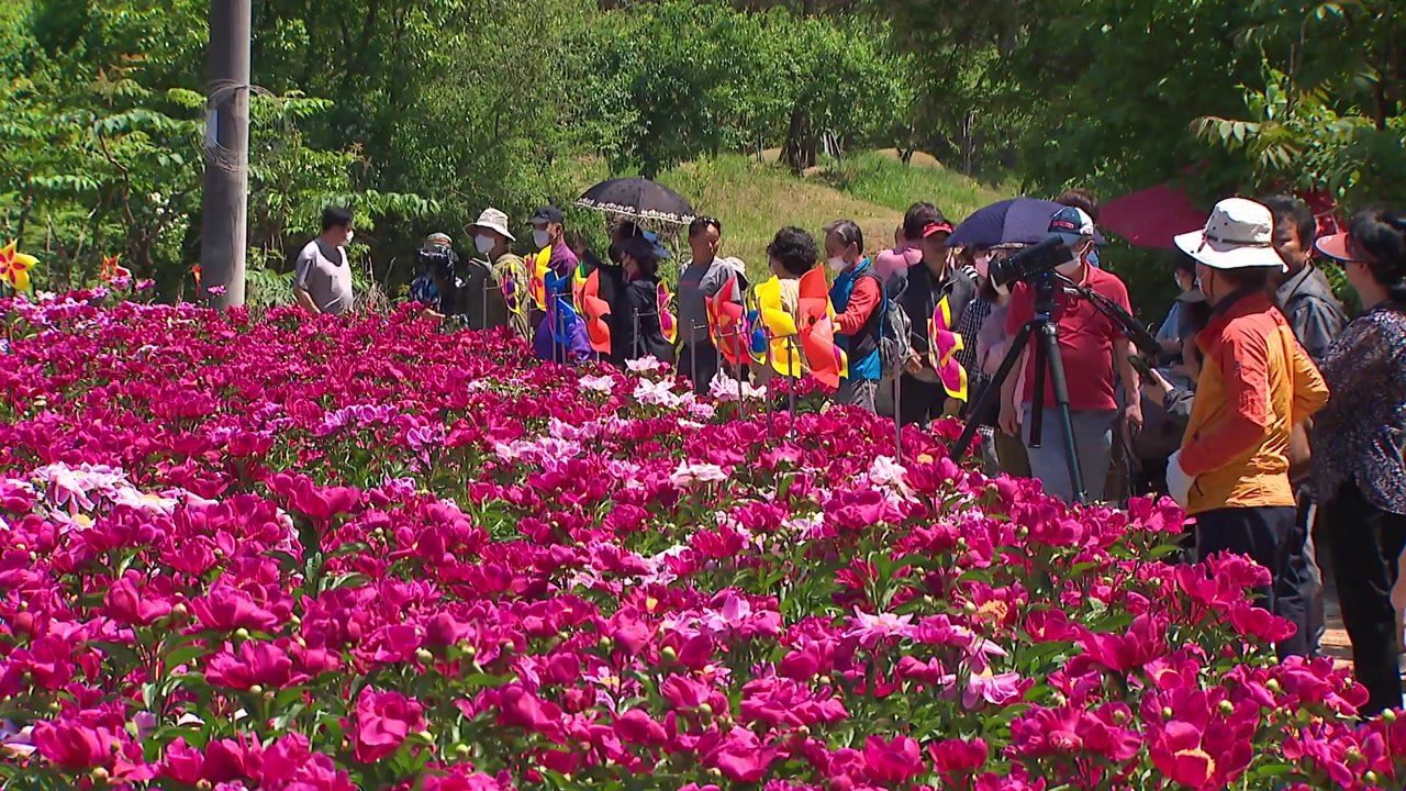 지역 축제 다시 '활짝'...나들이객 '북적' / YTN