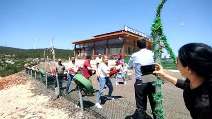 Tedavileri tamamlanan kuşlar doğaya salındı