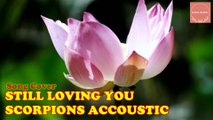 STILL LOVING YOU - SCORPIONS ACCOUSTIC COVER BY VANNY VABIOLA