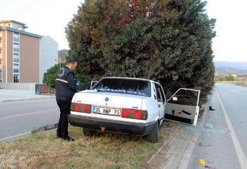 Son dakika haber | OTOMOBİL REFÜJDE AĞACA ÇARPTI; 1 ÖLÜ, 1 YARALI