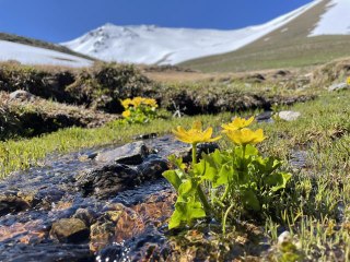 Erzurum dağlarında kar, ovasında bahar renkleri hakim
