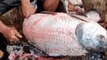 Giant Catla Fish Cutting By Expert Fish Cutter | Fish Cutting Skills By Hand