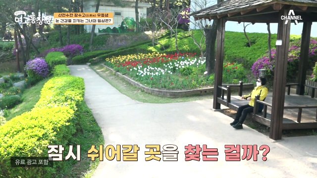 눈 건강을 지키는 아주 쉬운 비법, 다름 아닌 멍 때리기?!