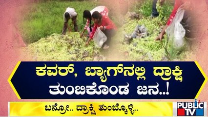 ರಸ್ತೆಬದಿ ಬಿದ್ದಿದ್ದ ದ್ರಾಕ್ಷಿ ಬಾಚಿಕೊಳ್ಳಲು ಮುಗಿಬಿದ್ದ ಜನ..! Grapes | Mandya