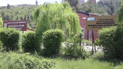 "Türkiye dünyadaki yeşil teknoloji kasırgasının dışında kalamaz"