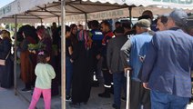 Kırıkkale'de 16 bin ücretsiz fide dağıtıldı! Vatandaşlar sıraya girdi