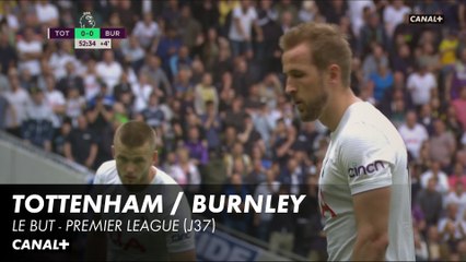 Tottenham / Burnley : le but - Premier League
