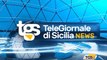 Nuovi marchi, nuove forme, nuovi colori per gli studi di Tgs