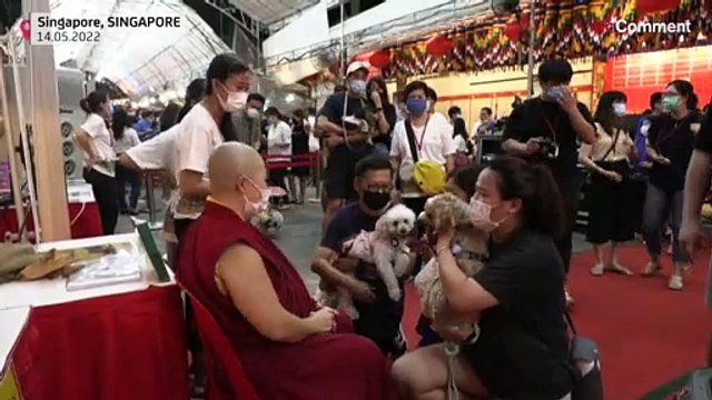 Singapore temple offers pet blessings for Buddhist festival