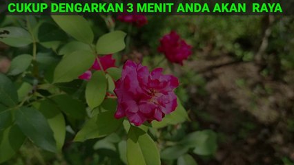 Berani Baca Pada Saat Matahari Terbit, Awalnya Miskin Sekarang Jadi Milyader