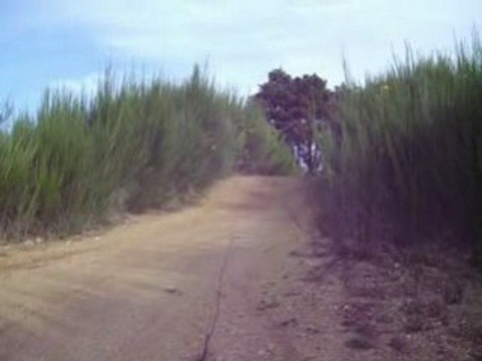 Photos et vidéos vtt 005