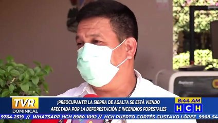 Abunda la tala de árboles e incendios en el Parque Nacional Sierra de Agalta