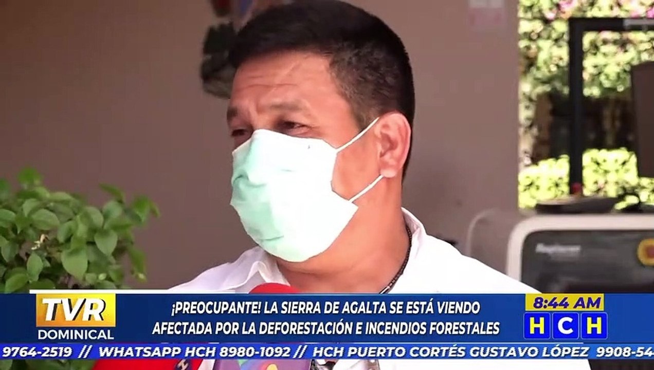 Abunda la tala de árboles e incendios en el Parque Nacional Sierra de Agalta