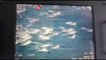 Puglia: numeroso branco di delfini (stenella striata) filmato a largo di Monopoli (Bari)