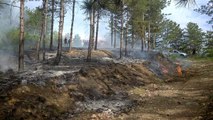 Son dakika haber | İskilip'te orman yangını