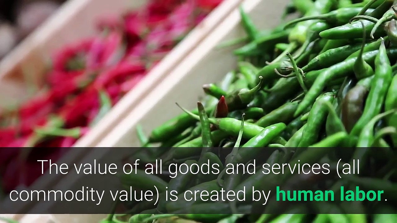 harry-braverman-on-the-detailed-division-of-labor