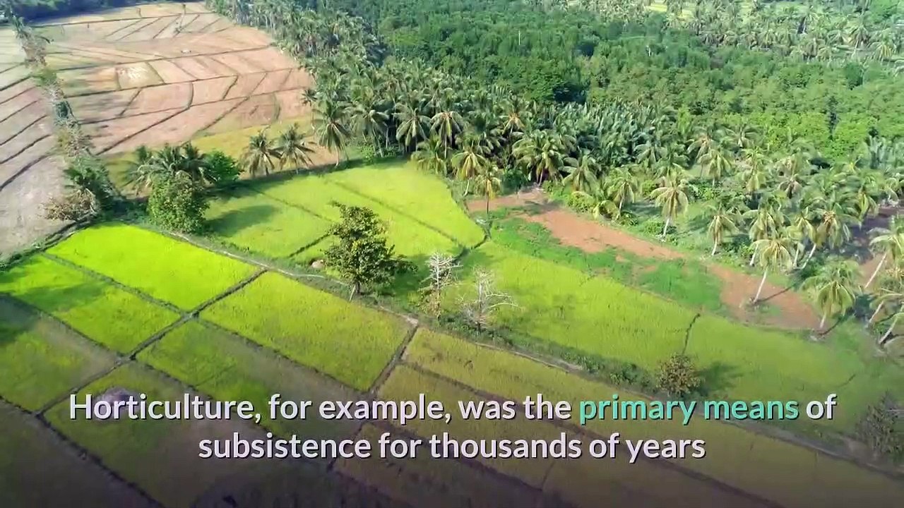 Stephen-K.-Sanderson's-Evolutionary-Materialism.-By