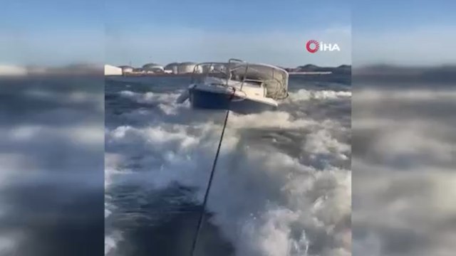 Meksika’da sudan sıçrayan balina tekneye çarptı: 2 yaralı