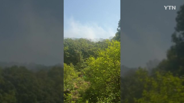 경기도 안양시 관악산 화재...1시간여 만에 진화 / YTN