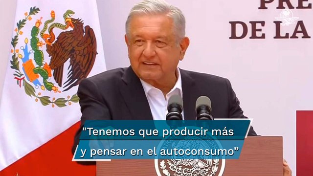 AMLO plantea utilizar Sembrando Vida para producir alimentos básicos busca reducir la inflación