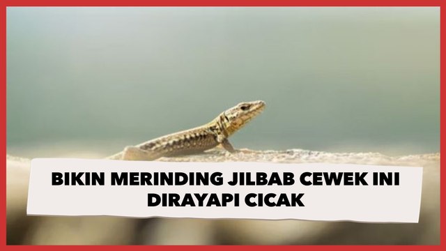 Bikin Merinding Jilbab Cewek Ini Dirayapi Cicak, 'Dikasih Tahu Takut Teriak'
