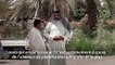 Roi de la table en Irak, le riz ambre menacé par la sécheresse