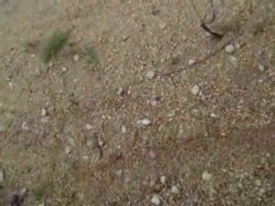 Photos et vidéos vtt 006