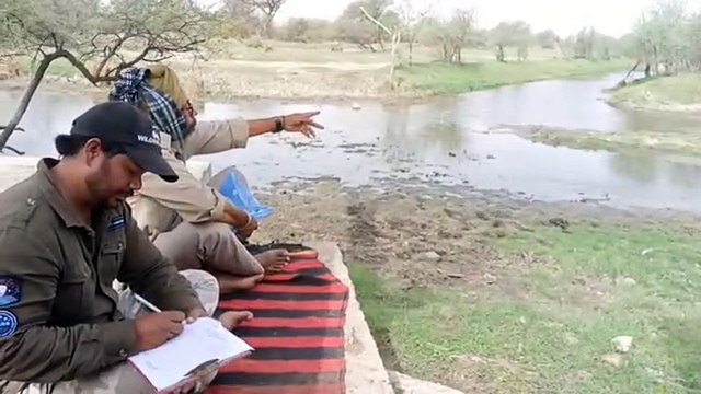 वन्यजीवों की गणना शुरू