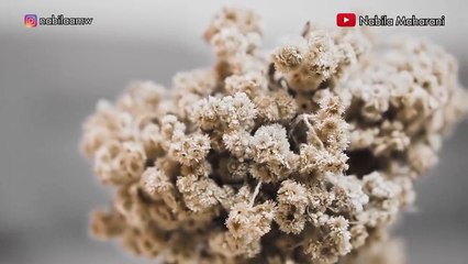 PERI CINTAKU - MARCELL SIAHAAN _ Cover by Nabila Maharani