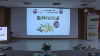 Türkiye'de tıbbi, aromatik bitki üretimi ve ihracatı artıyor