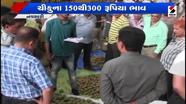 ચીકુના યોગ્ય ભાવ ન મળતા ખેડૂતોની હાલત કફોડી