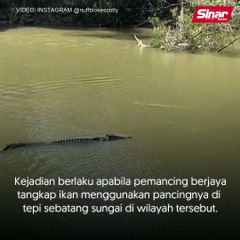 Dengan buaya pun nak 'gaduh'?