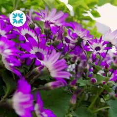 Ulster Bank's highlights from day one of the Balmoral Show 2022