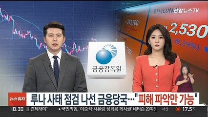 루나 사태 점검 나선 금융당국…"피해 파악만 가능"