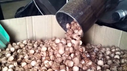 Talaş Pres Makinesi ilginç