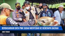 Antisipasi & Pencegahan Satgas Pangan Polda Jateng & Polres Jajaran Terkait Pengecekan di Peternakan & Pasar Hewan