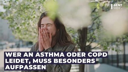 Extrem starker Blütenstab: Experte warnt vor tödlicher Pollenwelle