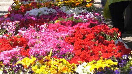 2η Ανθοκομική Έκθεση Σπερχειάδας