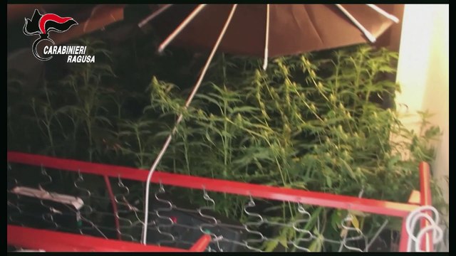 Ragusa, undici arresti per droga