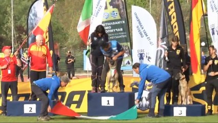 Καρπενήσι: Εντυπωσιακή και η λήξη του παγκοσμίου πρωταθλήματος Βελγικών Ποιμενικών